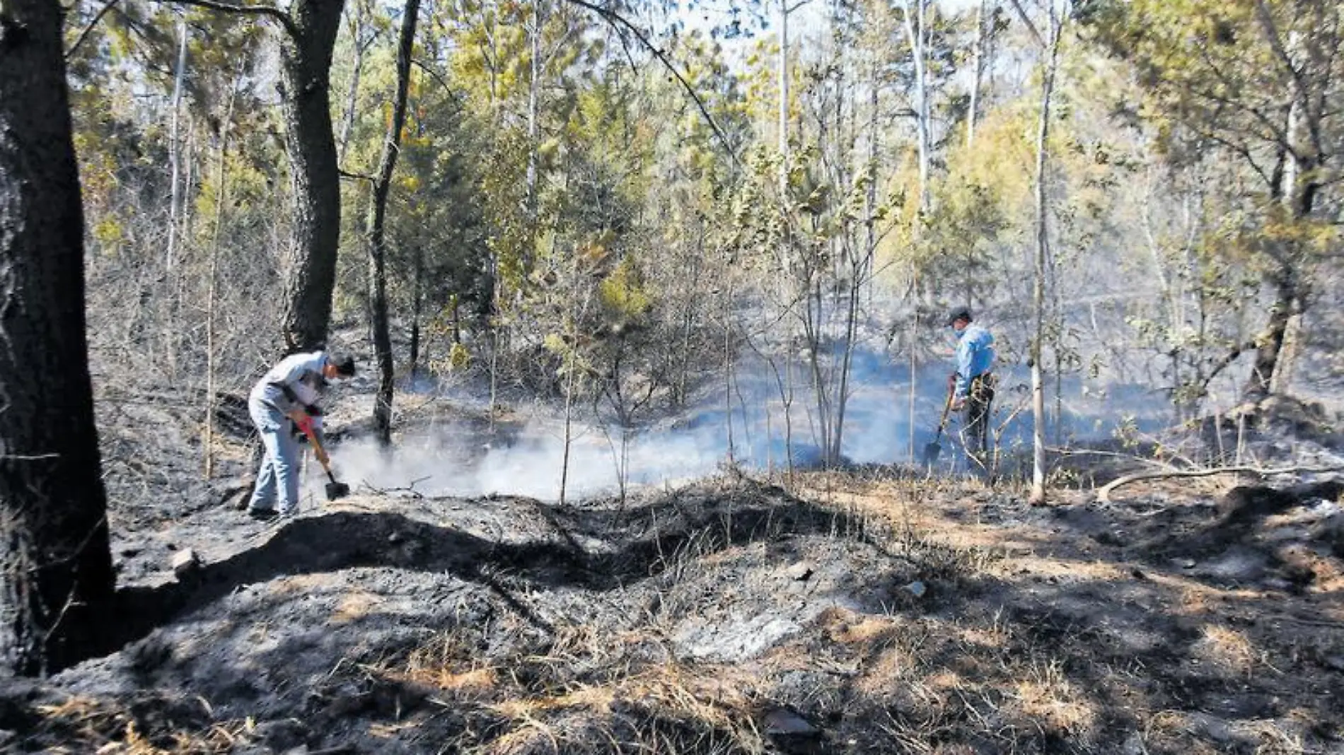 Incendios forestales (2)